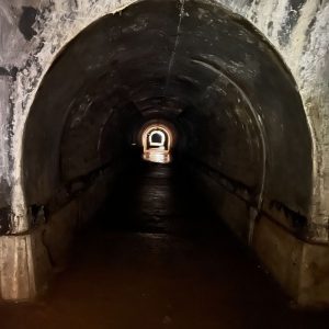 Evra agencija - Team building - Maribor - rovi2